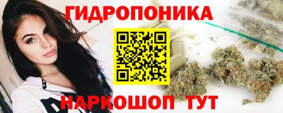 крисы Балаково