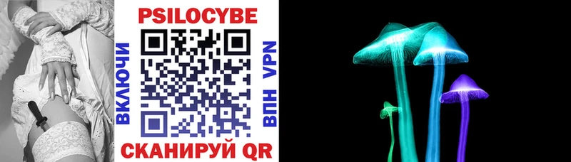 OMG   Великий Устюг  Псилоцибиновые грибы мухоморы 