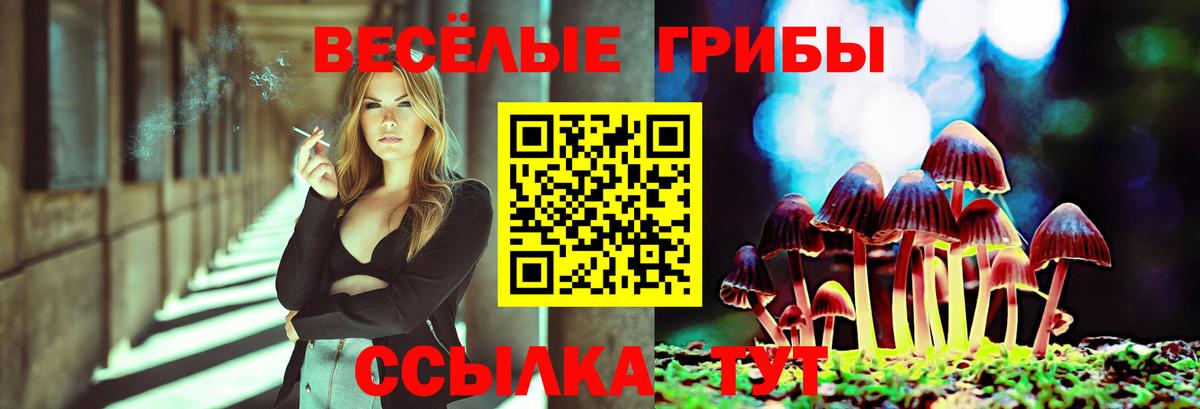 Галлюциногенные грибы Psilocybine cubensis Великий Устюг